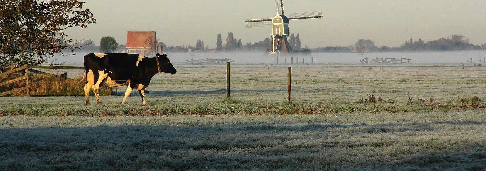 Molen